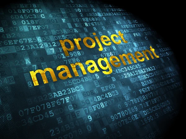 Pénzügyi fogalom: projekt menedzsment, a digitális háttér — Stock Fotó