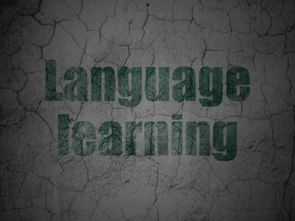 Education concept: Language Learning on grunge wall background — Stock Photo, Image