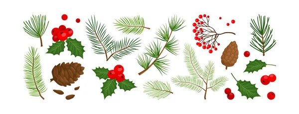 Vánoční Vektorové Barevné Rostliny Cesmína Zimní Dekor Strom Jedle Borovice — Stockový vektor