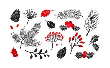 Noel vekil bitkileri, kutsal kış dekoru, Noel ağacı, çam ağacı, yapraklar, beyaz arka planda izole tatil seti. Kırmızı ve siyah renkler. Klasik doğa illüstrasyonu