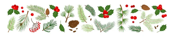 Navidad Plantas Siempreverdes Árbol Abeto Pino Cono Acebo Baya Hojas — Vector de stock