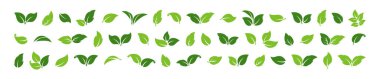 Green leaf vector icon, organic set, sprout plant, foliage different shape, eco symbol isolated on white background. Herbal nature illustration