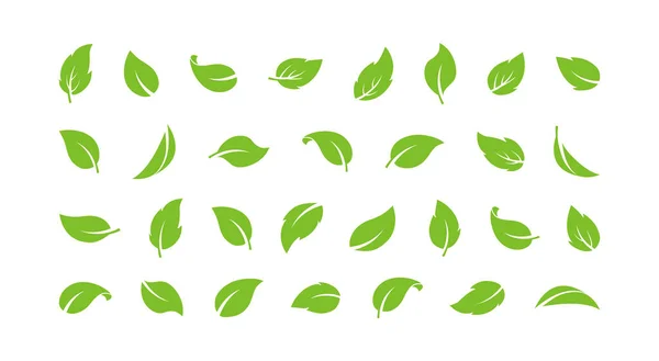 緑の葉ベクトルアイコン エコロゴ 有機ラベル 新鮮な植物は 白い背景に隔離された異なる形状を設定します シンプルなハーブイラスト — ストックベクタ