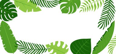 Palmiye yaprağı vektör çerçevesi, yeşil bitki arka planı, yaz ağacı sınırı, egzotik dal, tropikal orman, Hawaii bayrağı. Doğa çizimi