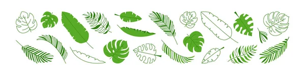 葉のヤシのベクトルセット 夏のジャングルの葉 緑の熱帯植物 要素エキゾチックな木 葉の輪郭と白い背景に隔離されたフラットデザイン 自然イラスト — ストックベクタ