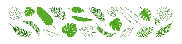 Bladpalm Vector Set Zomer Jungle Gebladerte Groene Tropische Plant Element — Stockvector