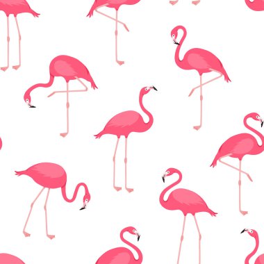 Flamingo vektör deseni, pembe kuş arka planı, tropik yaz baskısı. Güzel hayvan duvar kâğıdı. Çizgi film moda dokusu. Egzotik çizimler