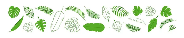 葉ヤシのベクトルアイコン シンプルなロゴココナッツ 夏のジャングルの葉 緑の熱帯植物 要素エキゾチックな木 葉のラインと白の背景に隔離されたフラットデザイン 自然イラスト — ストックベクタ