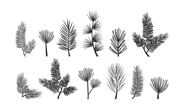 Christmas Pine Branch Evergreen Tree Fir Spruce Cedar Twig Vector — 스톡 벡터