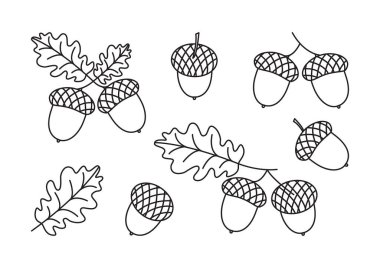Meşe ağacı ikonu, meşe yaprağı, fındık ve dal, beyaz arka planda siyah çizgili siluet. Noel basit illüstrasyon