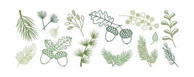 Christmas pine and fir, leaf branch tree, winter holly berry, acorn, evergreen plant, cedar twig vector icon, New Year wood, holiday decoration. Xmas line hand drawn elements. Nature illustration