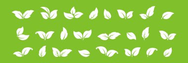 Yaprak vektör ikonu, eko sembolü, organik seti, bitki örtüsü, biyolojik geri dönüşüm işareti, filizlenme şekli. Yeşil arka planda beyaz ekoloji etiketi. Doğa çizimi