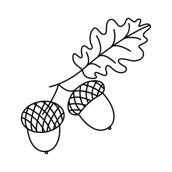 Желудь Векторной Линии Значок Дубовый Лист Осенний Орех Черный Силуэт — стоковый вектор