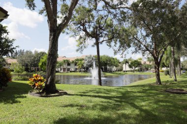 Florida 'da bir gölet manzarası 