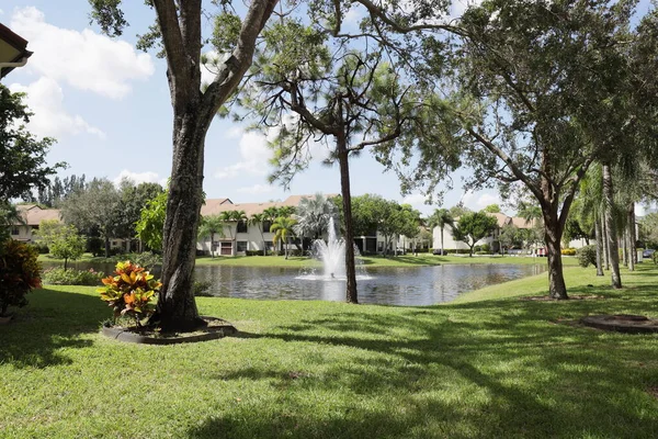 View Pond Florida — Stock Photo, Image