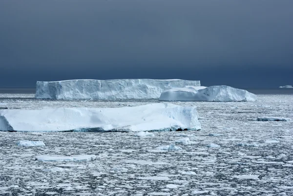 Diversi iceberg diversi nel pomeriggio coperto oceano . — Foto Stock