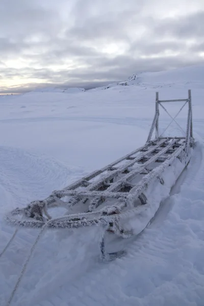 Slitta invernale Nansena mattina nuvoloso in Antartide — Foto Stock