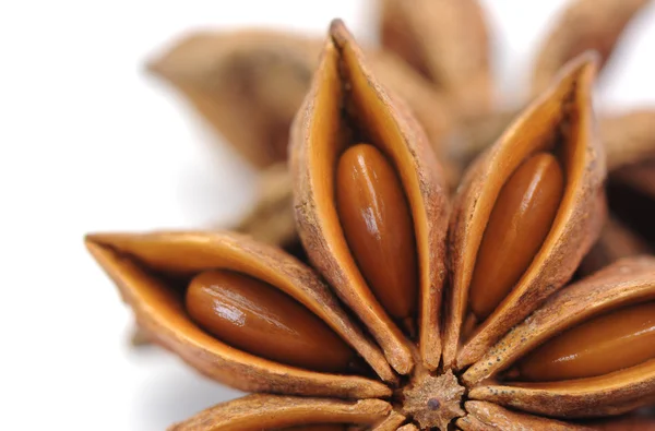 Anise isolated on white background — Stock Photo, Image