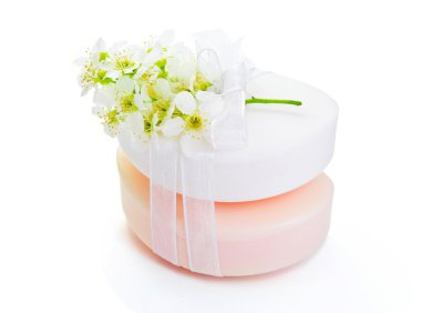 Şeftali pembe beyaz bahar çiçekleri ile