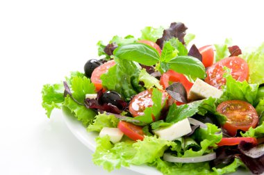 salata taze sebze, peynir mozzarella ve zeytin, zeytinyağı ile sulanan