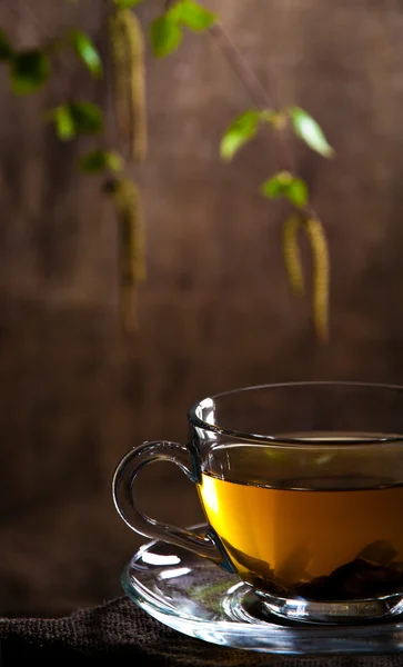 Taza con té y rama de abedul con semillas —  Fotos de Stock