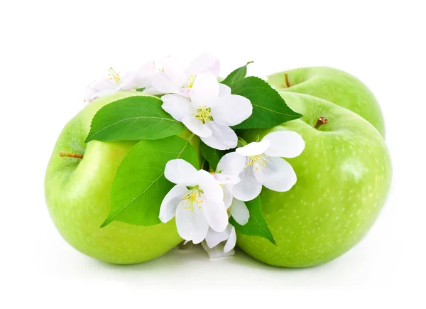 Green apples and white flowers — Stock Photo, Image