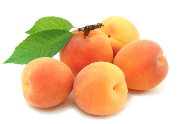 Apricots — Stock Photo, Image