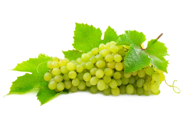 Cluster of ripe, green grapes. — Stock Photo, Image