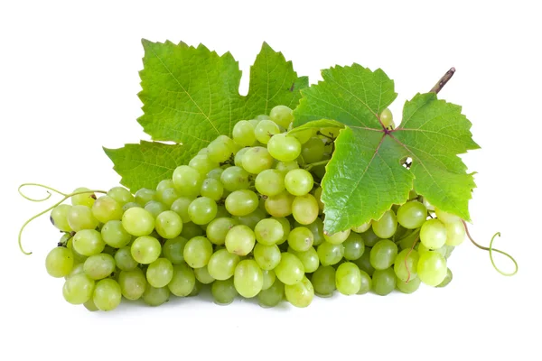 Cluster van rijp, groene druiven. — Stockfoto