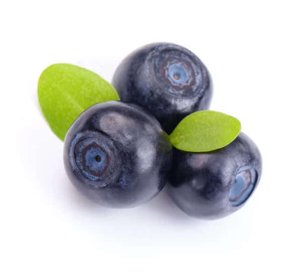 Frische Blaubeeren — Stockfoto