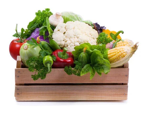Čerstvá zeleninaβυσσινί μπερέ 1 Royalty Free Stock Fotografie