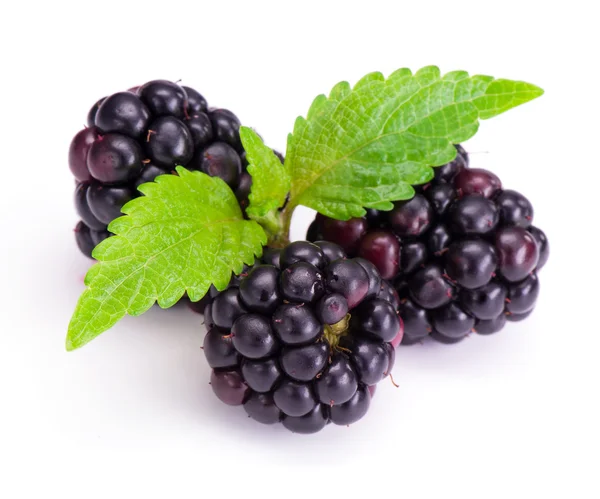 Blackberries with green leaves — Stock Photo, Image