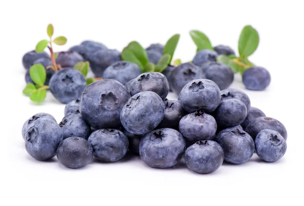 Blueberry with green leaves — Stock Photo, Image