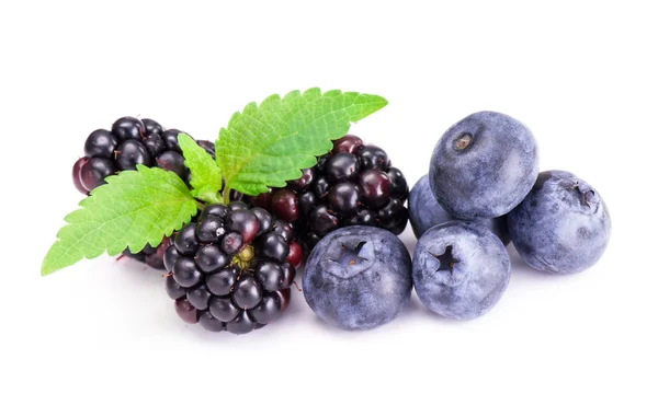 黑莓和蓝莓 — 图库照片#