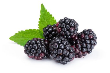 Blackberry.