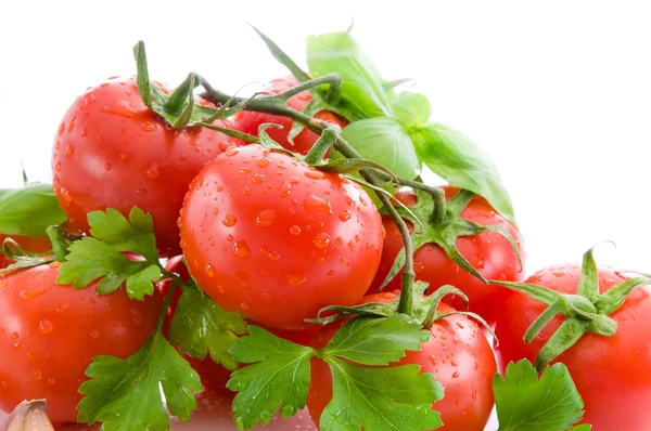 Red tomatoes, parsley and basil. — Stock Photo, Image