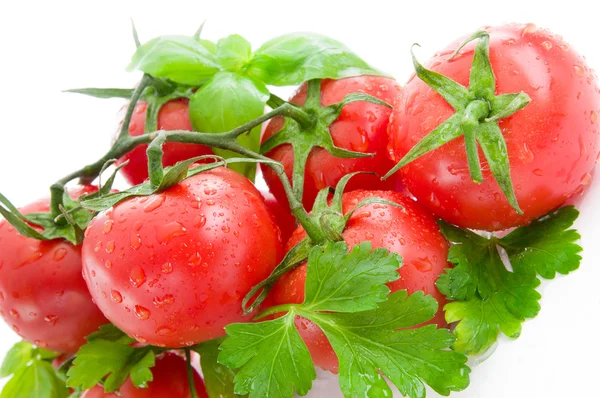 Red tomatoes, parsley and basil. — Stock Photo, Image