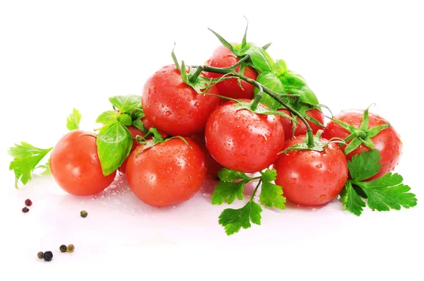 Röda tomater, persilja och basilika. — Stockfoto