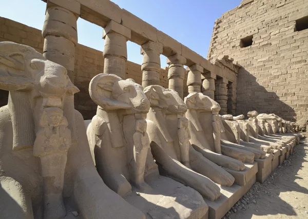 Esfinges en el templo de Karnak en Luxor — Foto de Stock