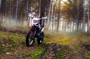 Enduro motosikleti ağaçların ve sislerin olduğu bir orman yolunda ilerliyor.