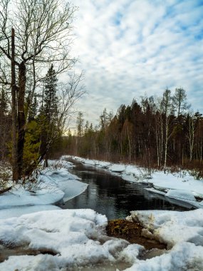 Öğlen vakti bir kış ormanındaki bir derenin manzarası.
