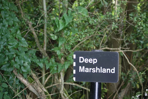 深い湿原の記号 — ストック写真