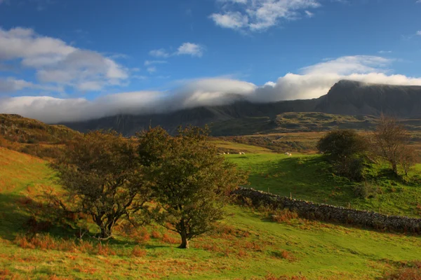 Bergiga walesiska landsbygden Visa — Stockfoto