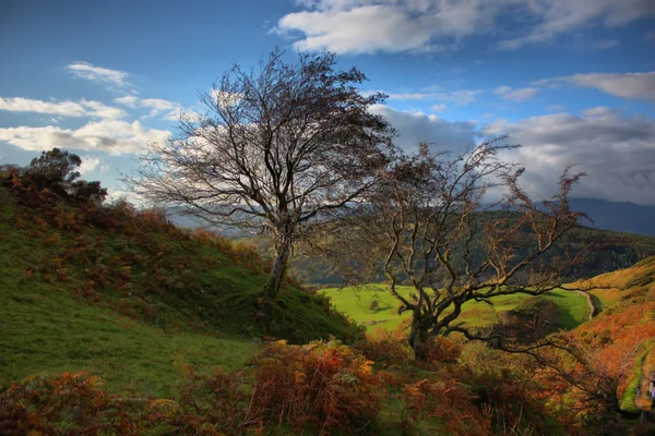 Вид на горы и окрестности Уэльса — стоковое фото