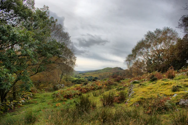 Mountainous Welsh countryside view — Stock Photo, Image