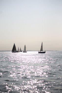 Sakin denizde yelken yelkenli