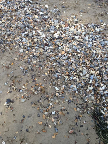 एक रेत समुद्र तट पर पेबल्स — स्टॉक फ़ोटो, इमेज