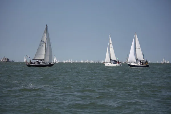 Sailboats sailing on a calm sea — Stock Photo, Image