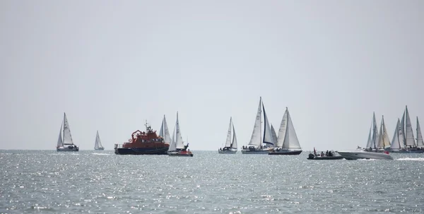 Sailboats sailing on a calm sea — Stock Photo, Image