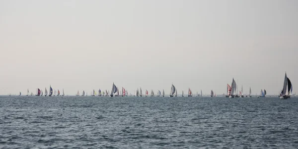 Sailboats sailing on a calm sea — Stock Photo, Image